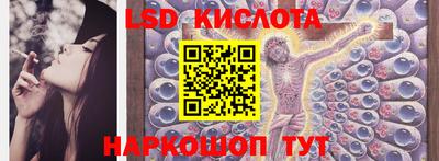 гашик Боровичи