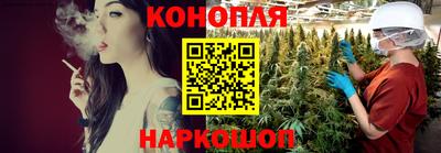 гашик Боровичи