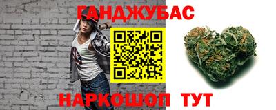 гашик Боровичи