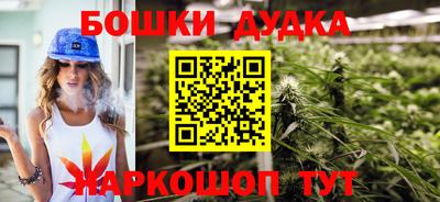 гашик Боровичи