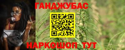 гашик Боровичи