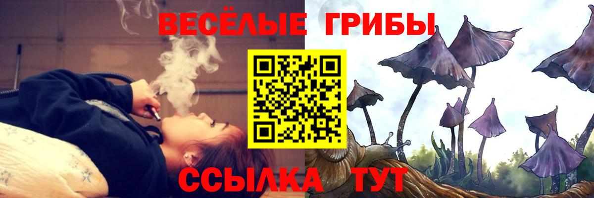 Галлюциногенные грибы GOLDEN TEACHER  Псилоцибиновые грибы Psilocybine cubensis  Грязи  Вход с VPN 