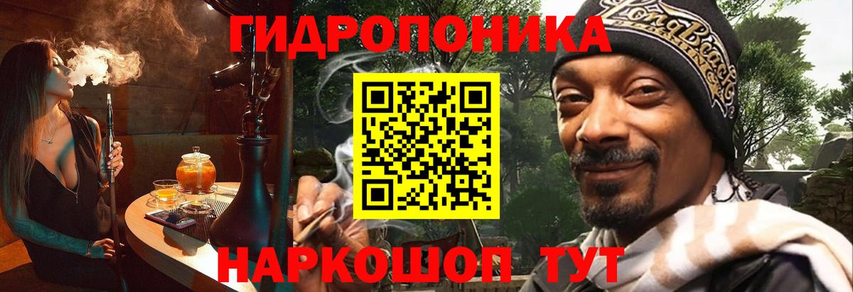 Каннабис Ganja  Бошки марихуана план  Вход с VPN  Бошки марихуана SATIVA & INDICA  Шишки марихуана конопля  Грязи 